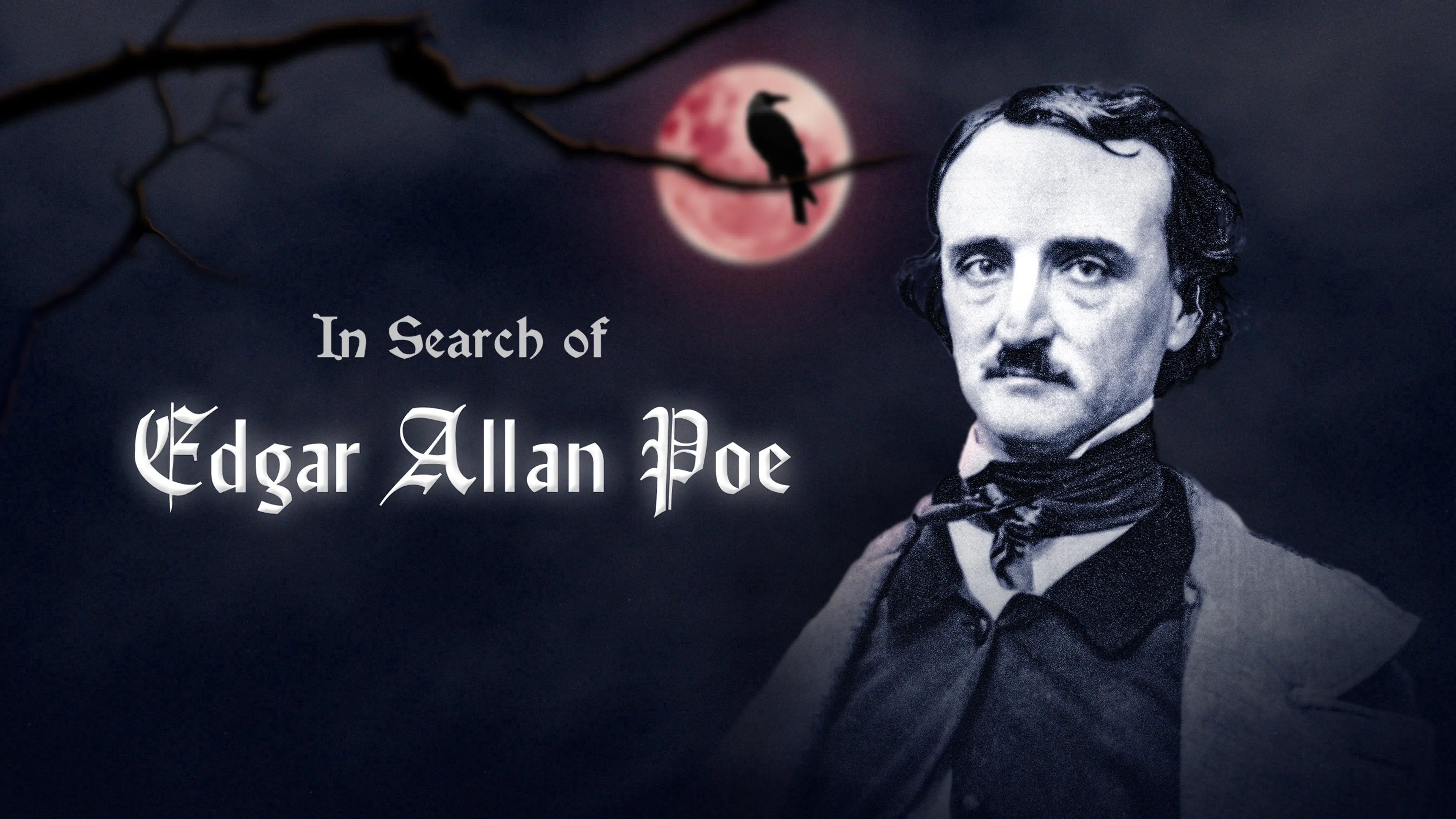 In Search of Edgar Allan Poe poster